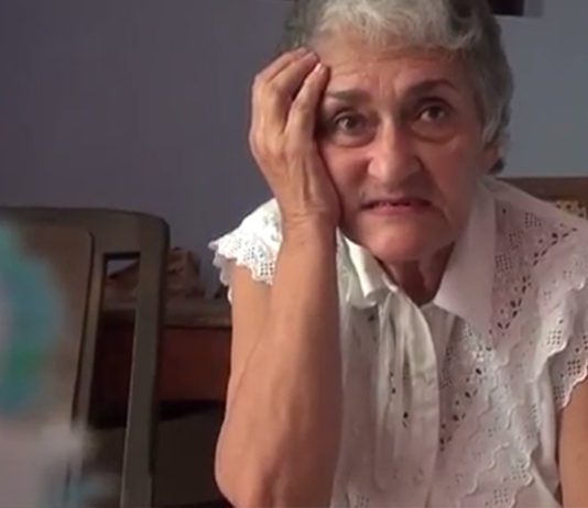 La Vieja y los muchos (Las aventuras del Cepillo – No.2)